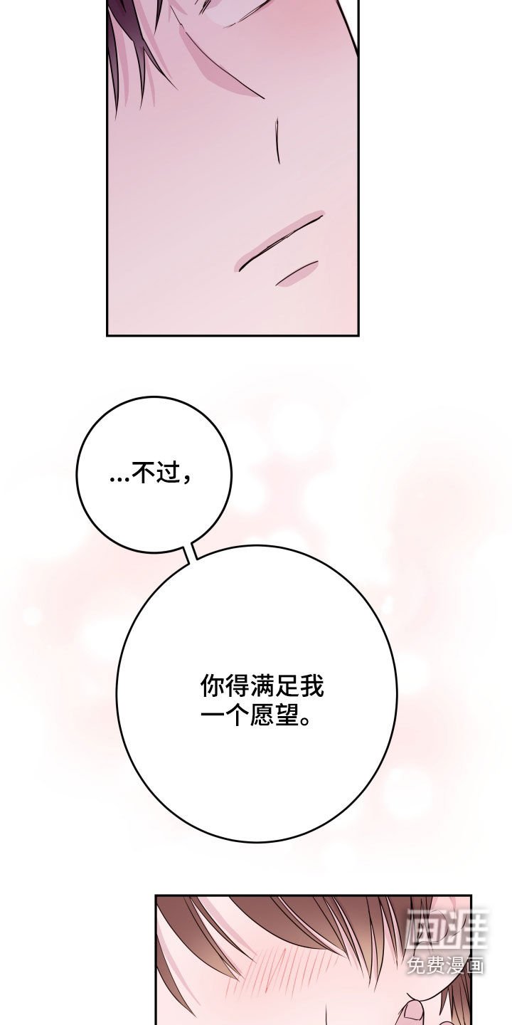 第30章：一个愿望