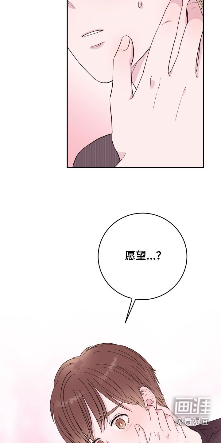 第30章：一个愿望