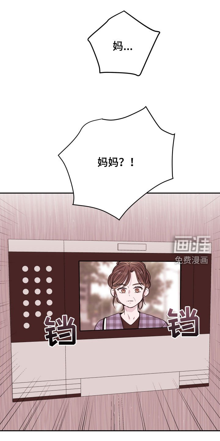 第32章：掩盖