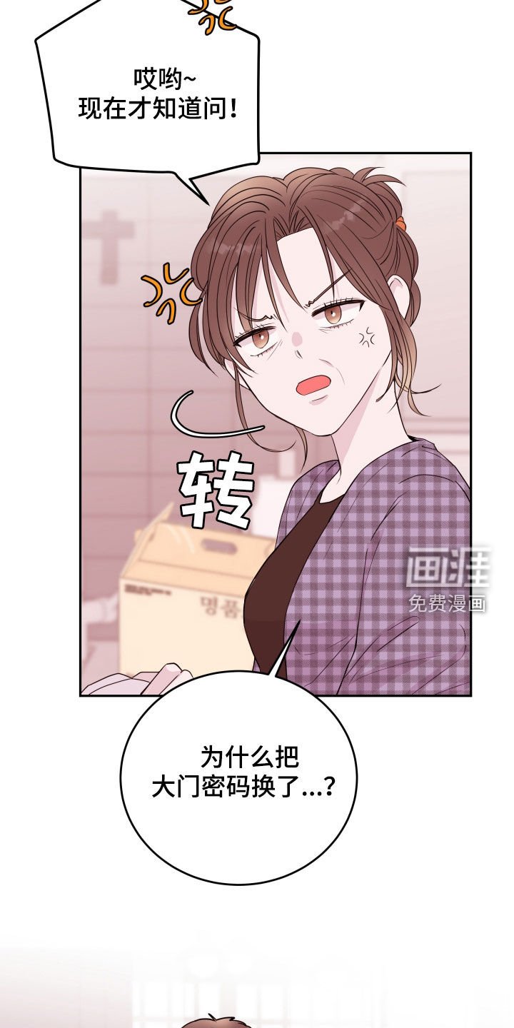 第32章：掩盖
