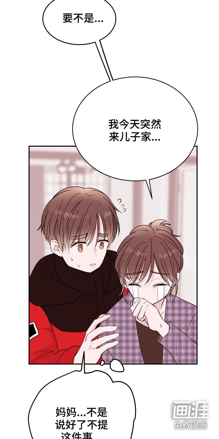 第32章：掩盖