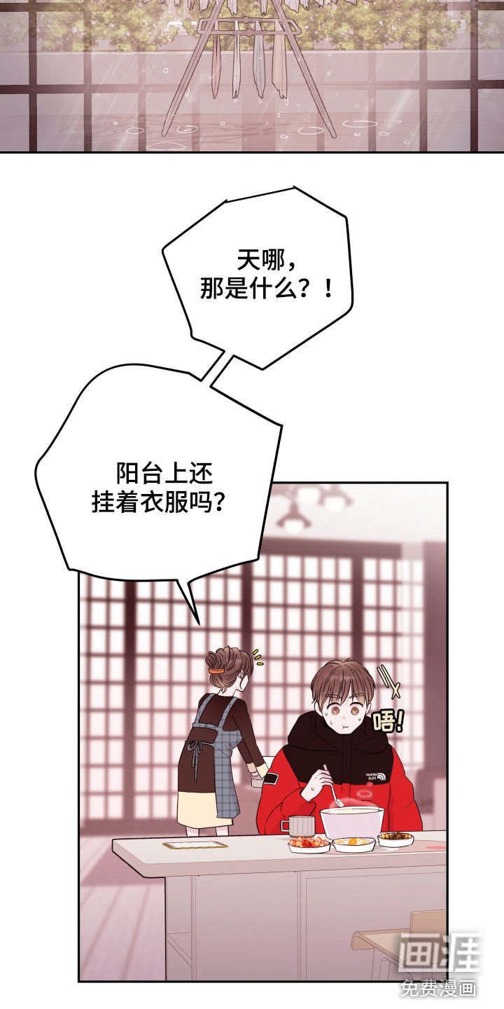 第32章：掩盖