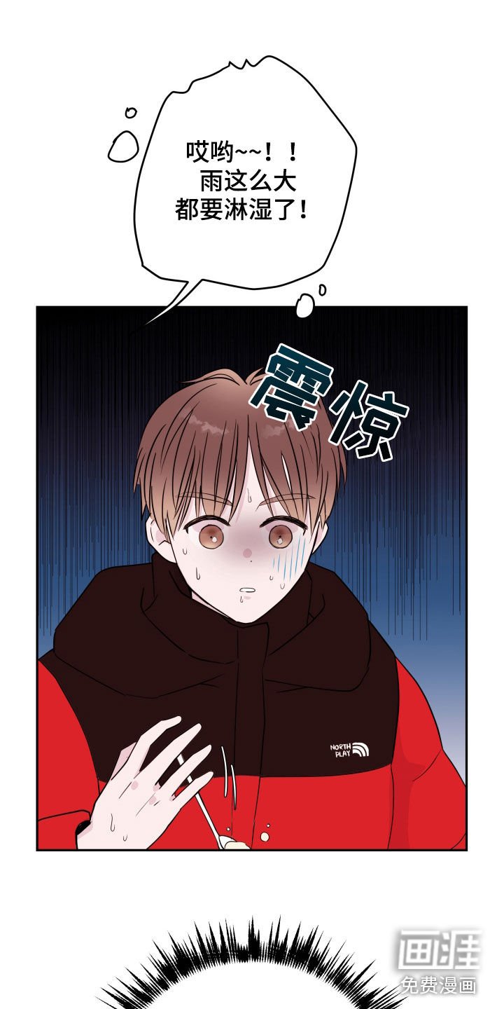 第32章：掩盖