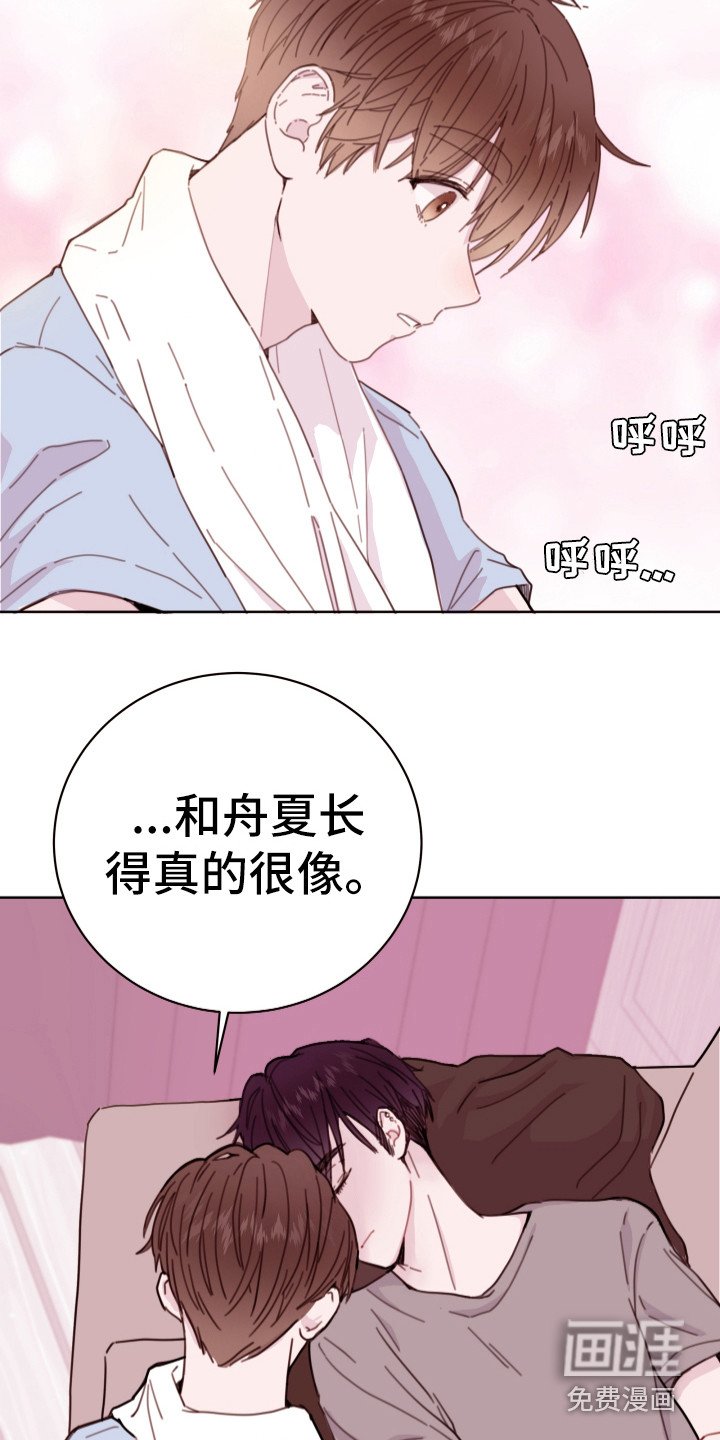 第5章：长得很像