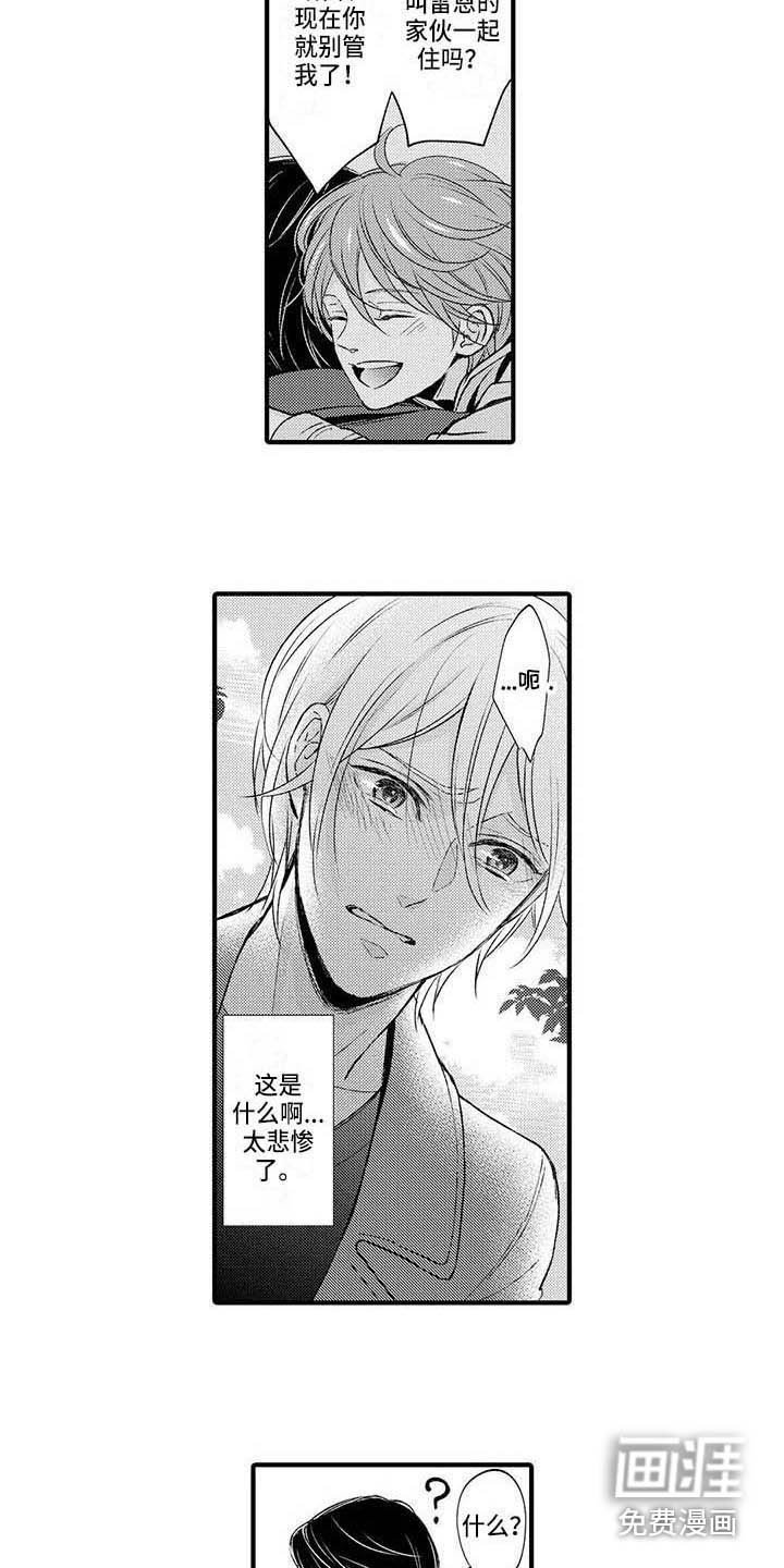 第21章：解释