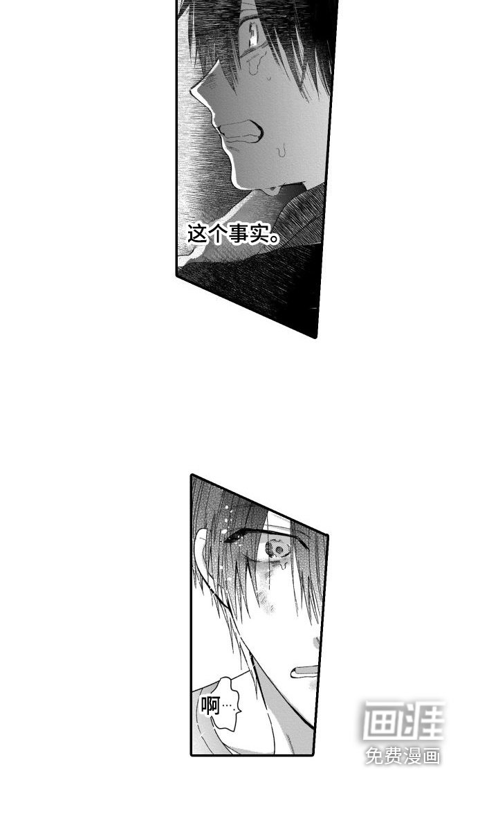 第14章：分别