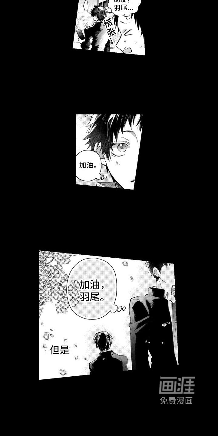 第17章：唯一的观众