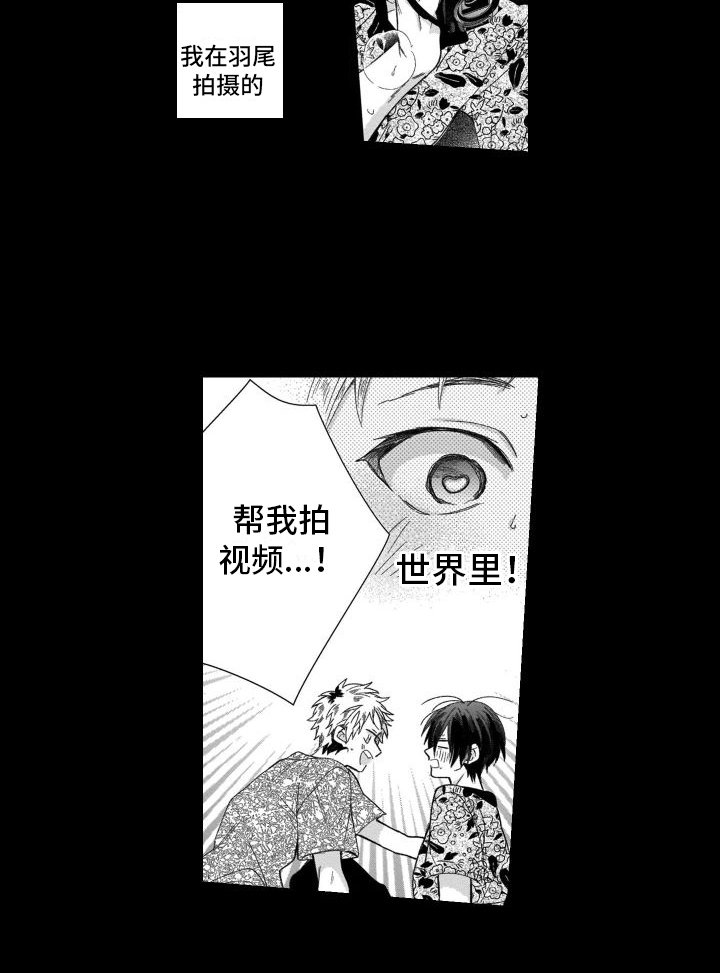 第17章：唯一的观众