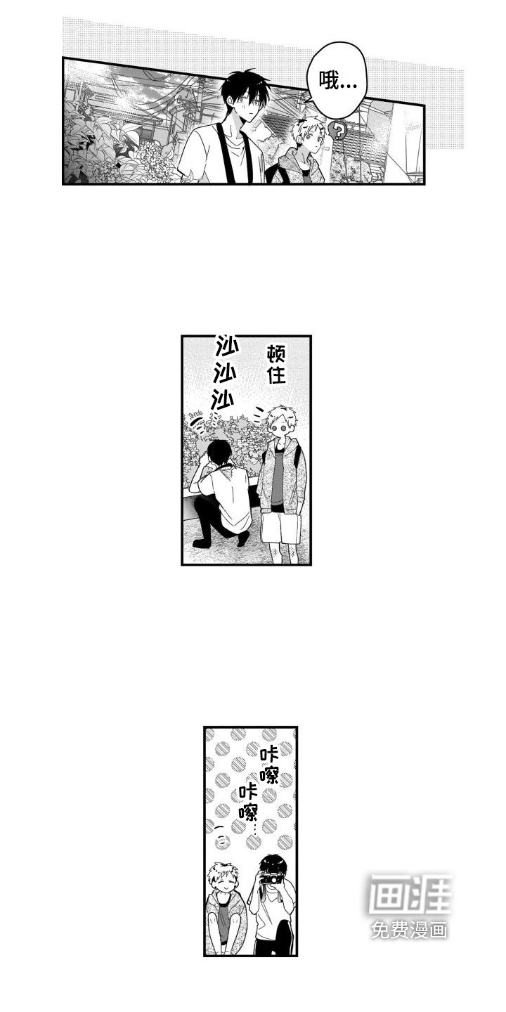 第5章：阴影