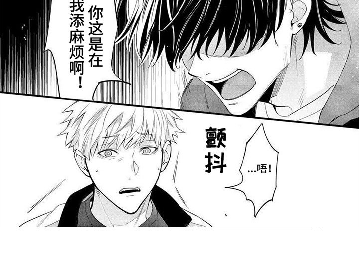 第8章：错觉