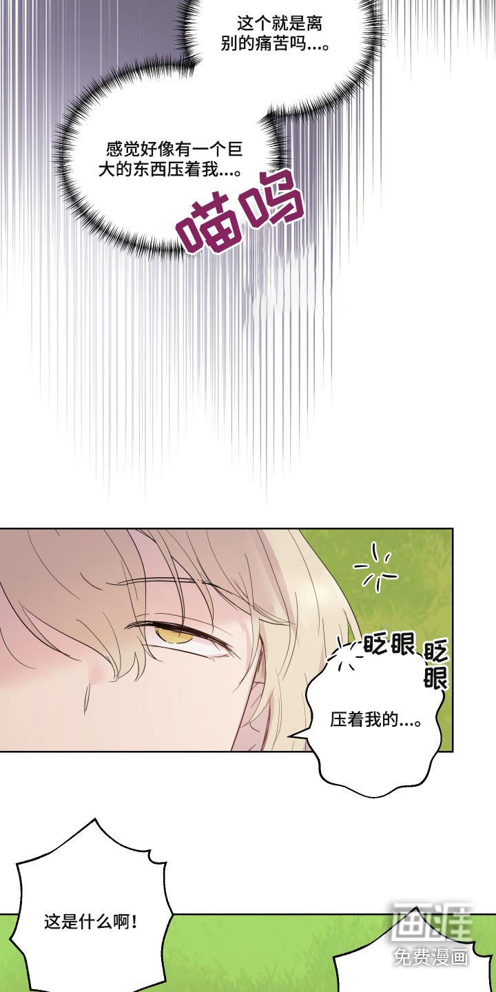 第25章：礼物