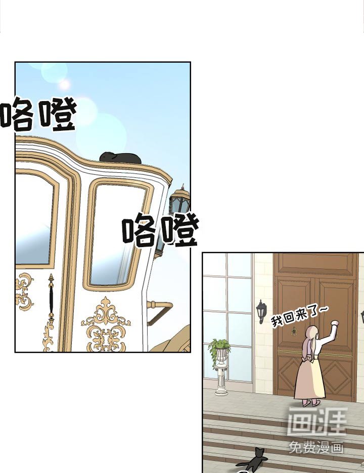 第26章：猫咪