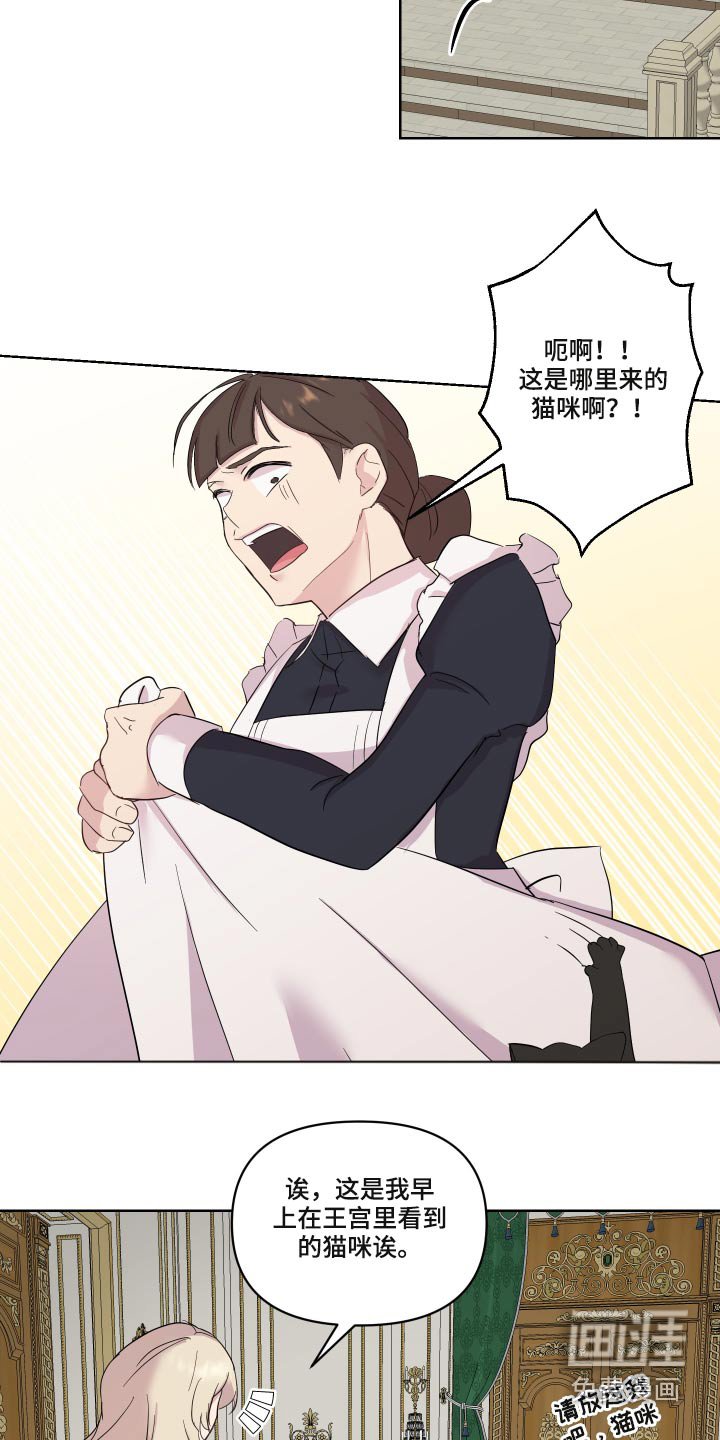 第26章：猫咪