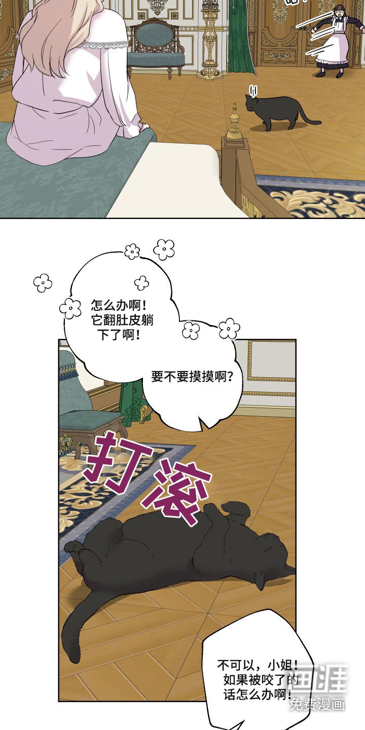 第26章：猫咪