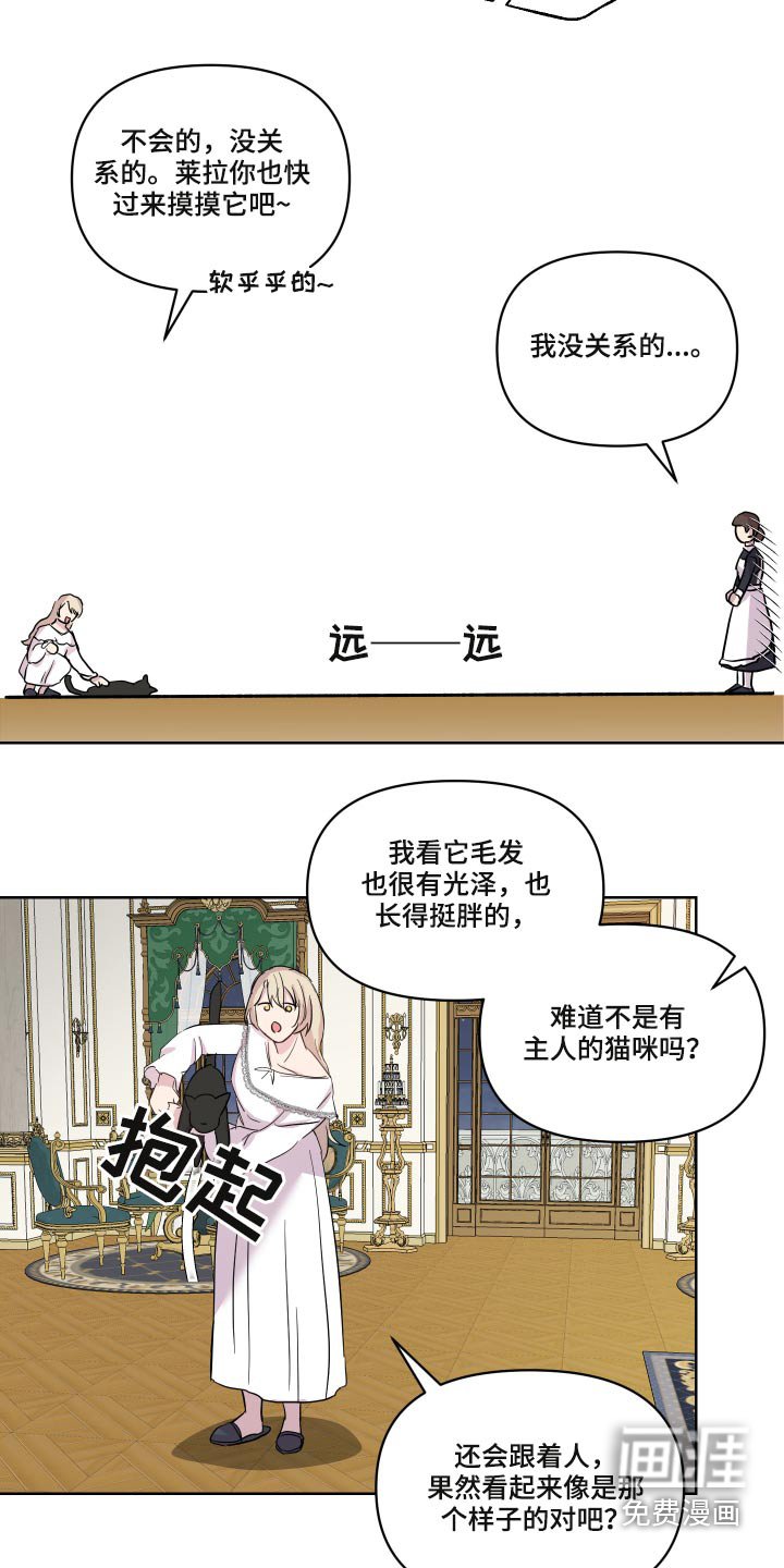 第26章：猫咪