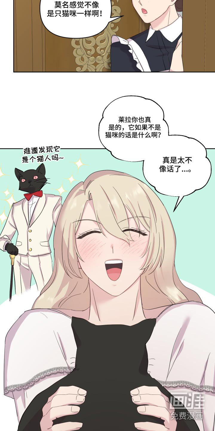 第26章：猫咪