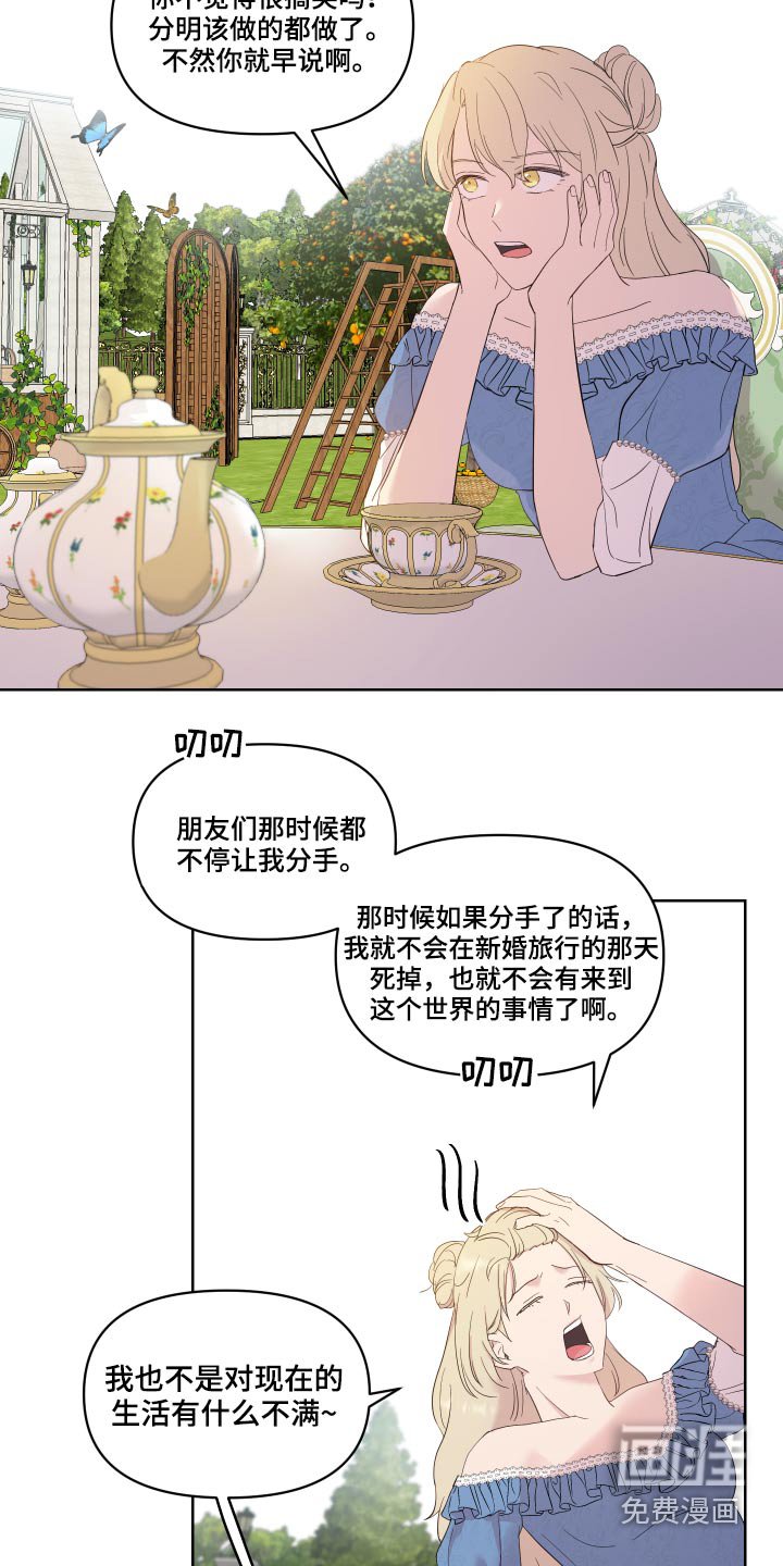 第26章：猫咪