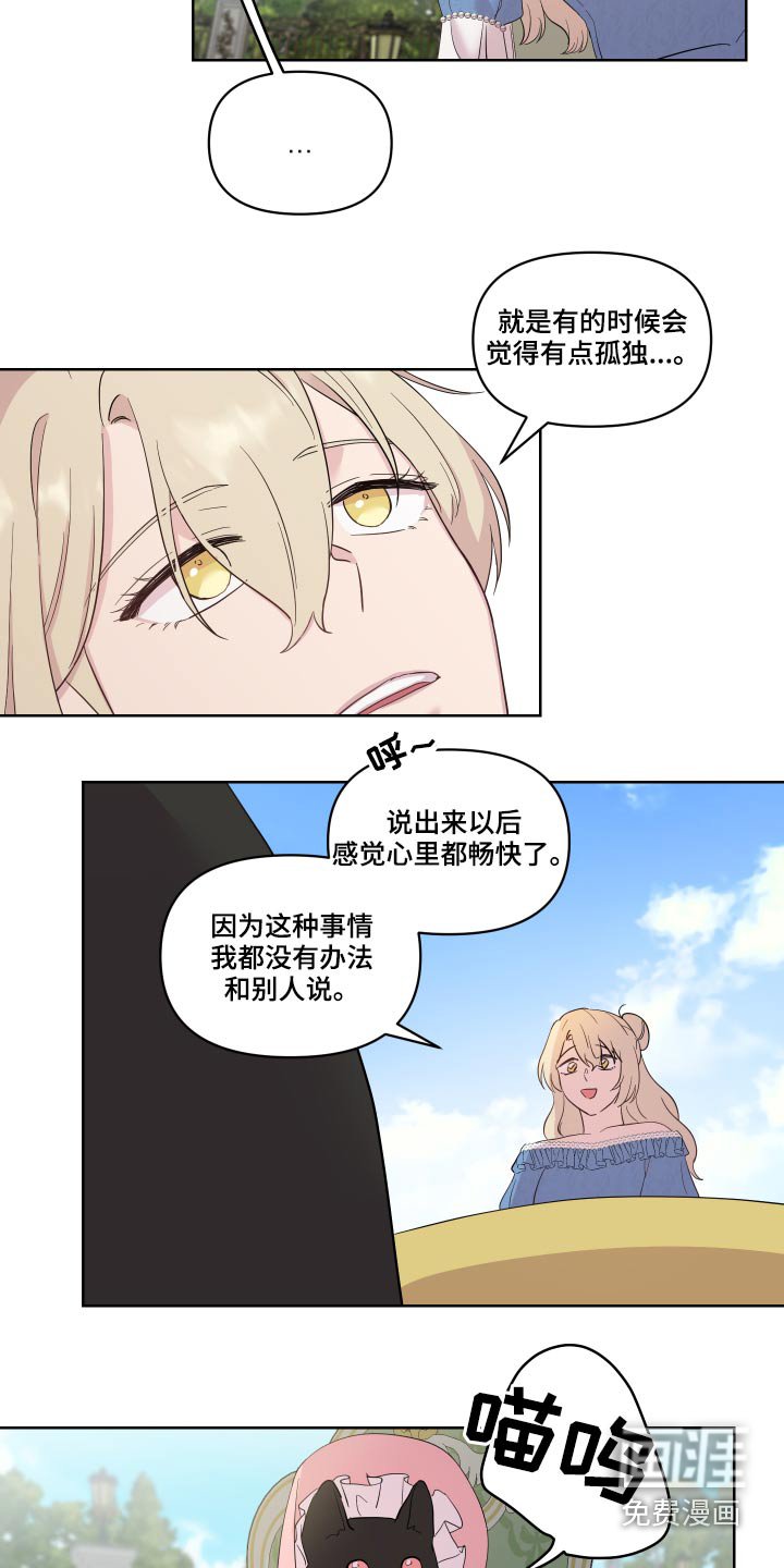 第26章：猫咪