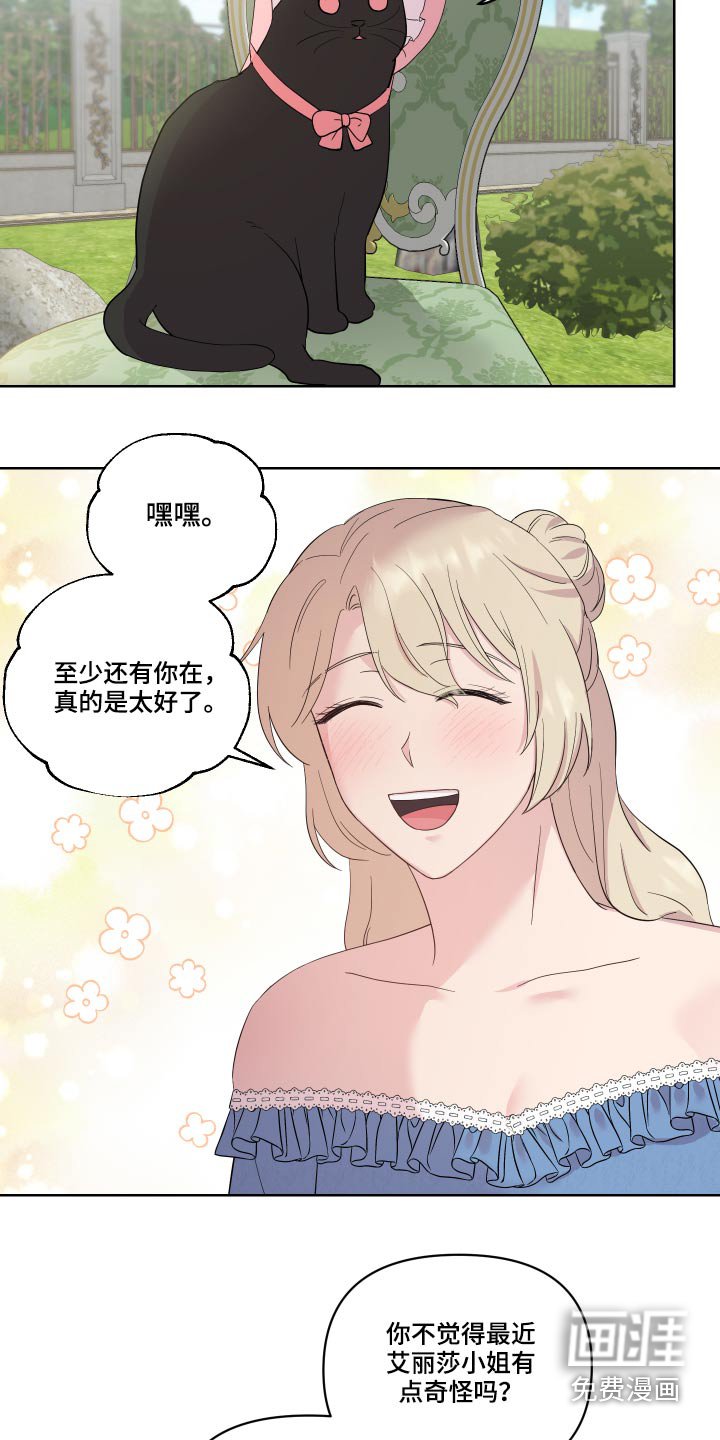第26章：猫咪