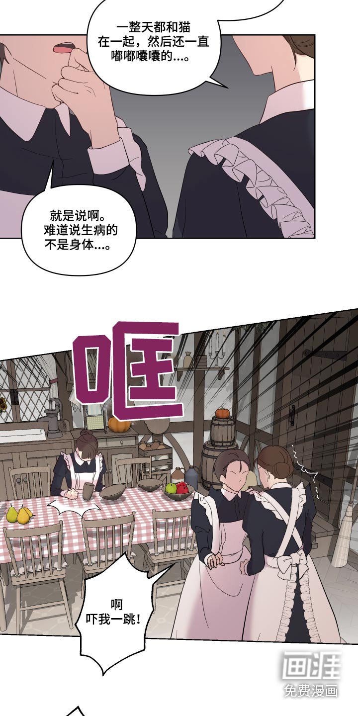 第26章：猫咪