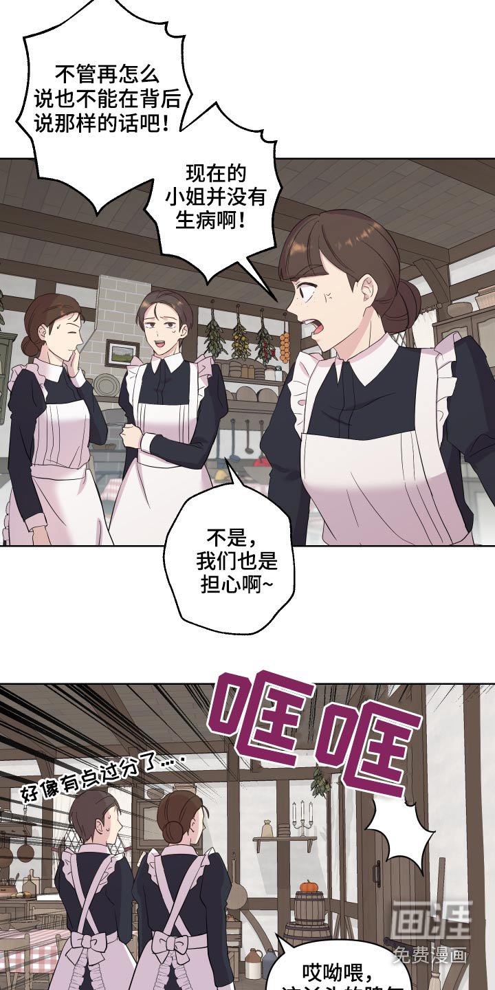 第26章：猫咪