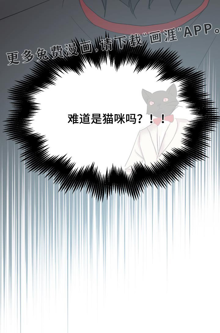 第33章：可疑