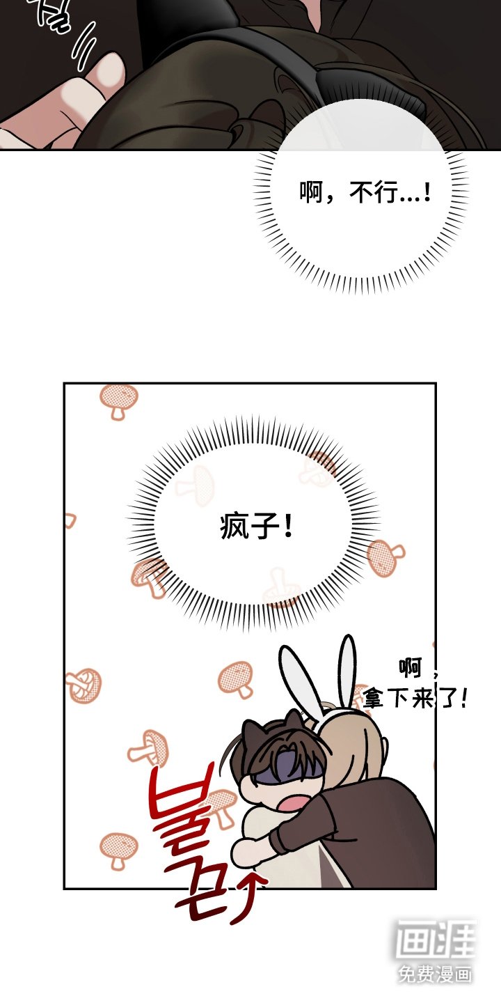 第6章：冲动
