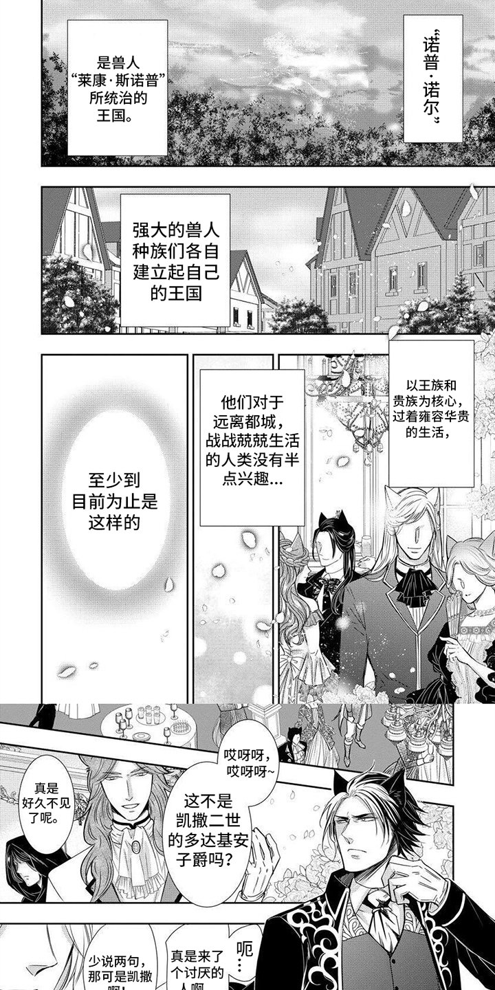 第1章：兽人王国
