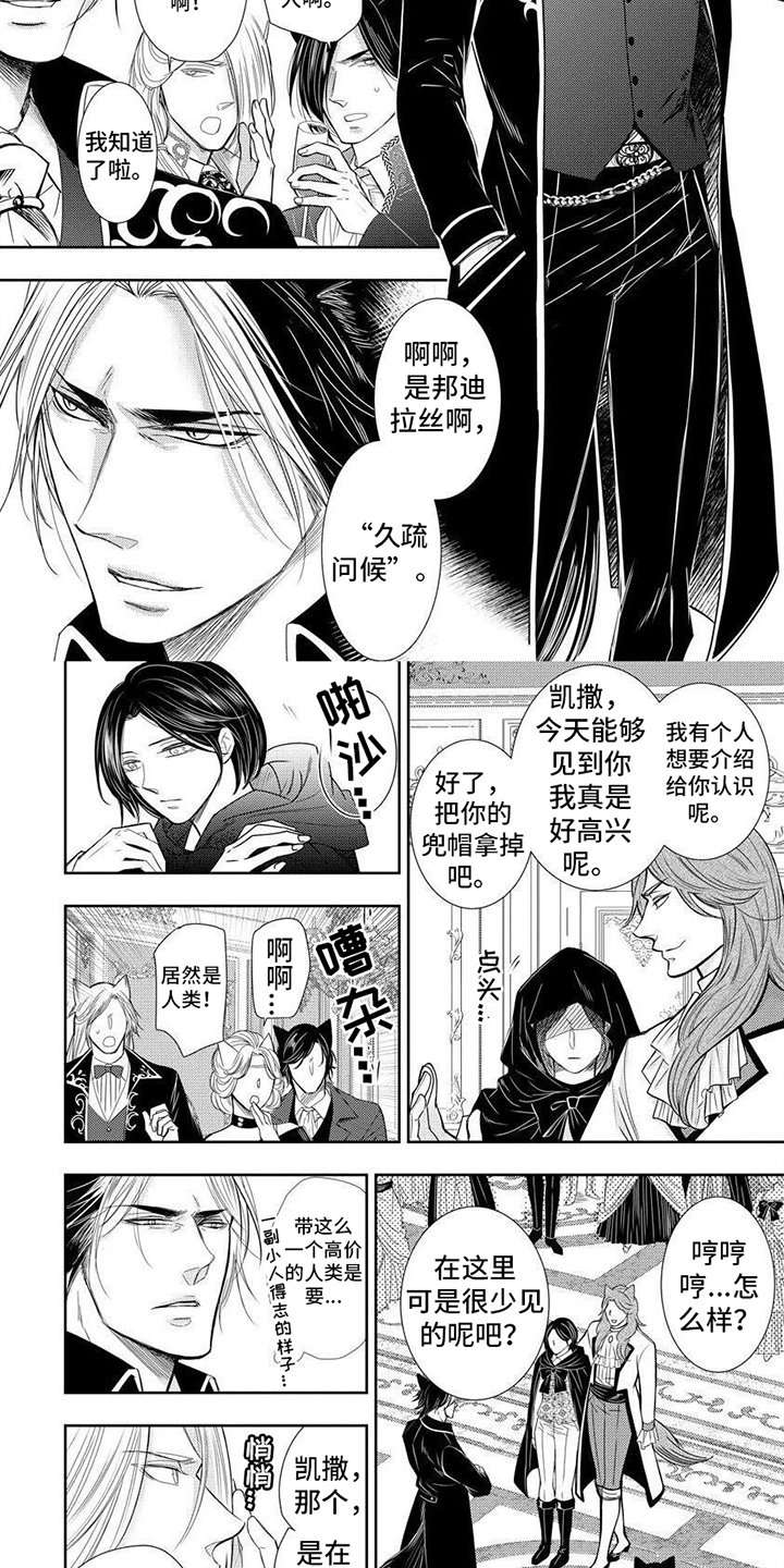 第1章：兽人王国