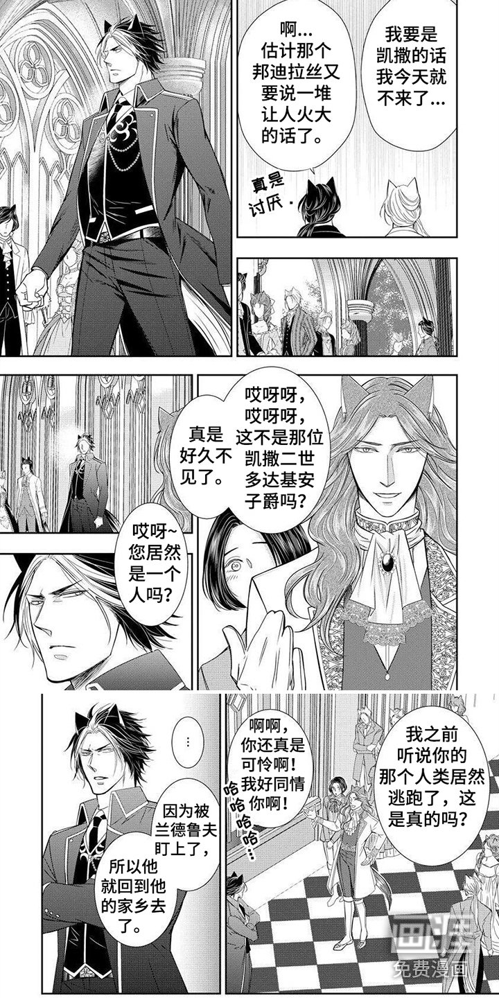 第14章：想念