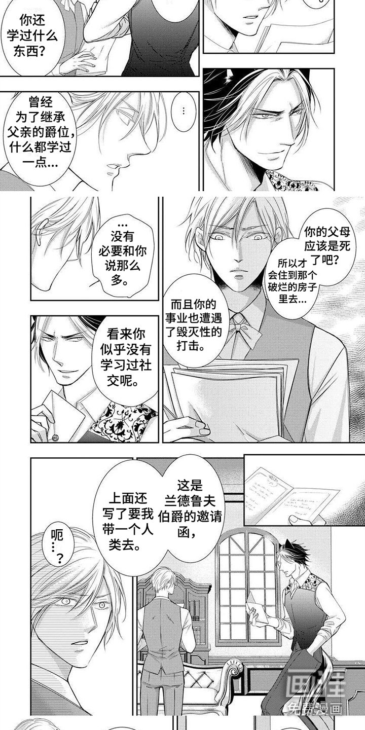 第7章：小提琴