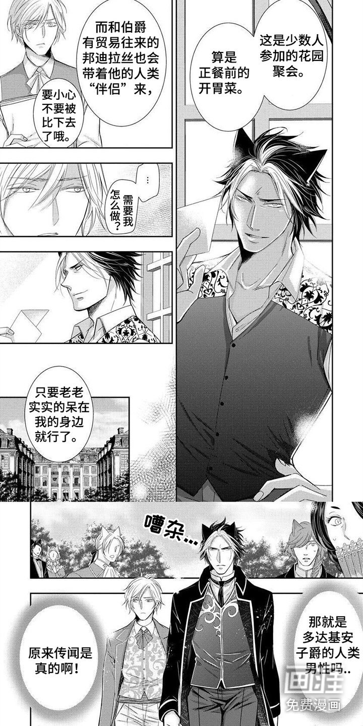 第7章：小提琴