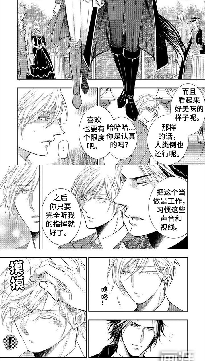 第7章：小提琴