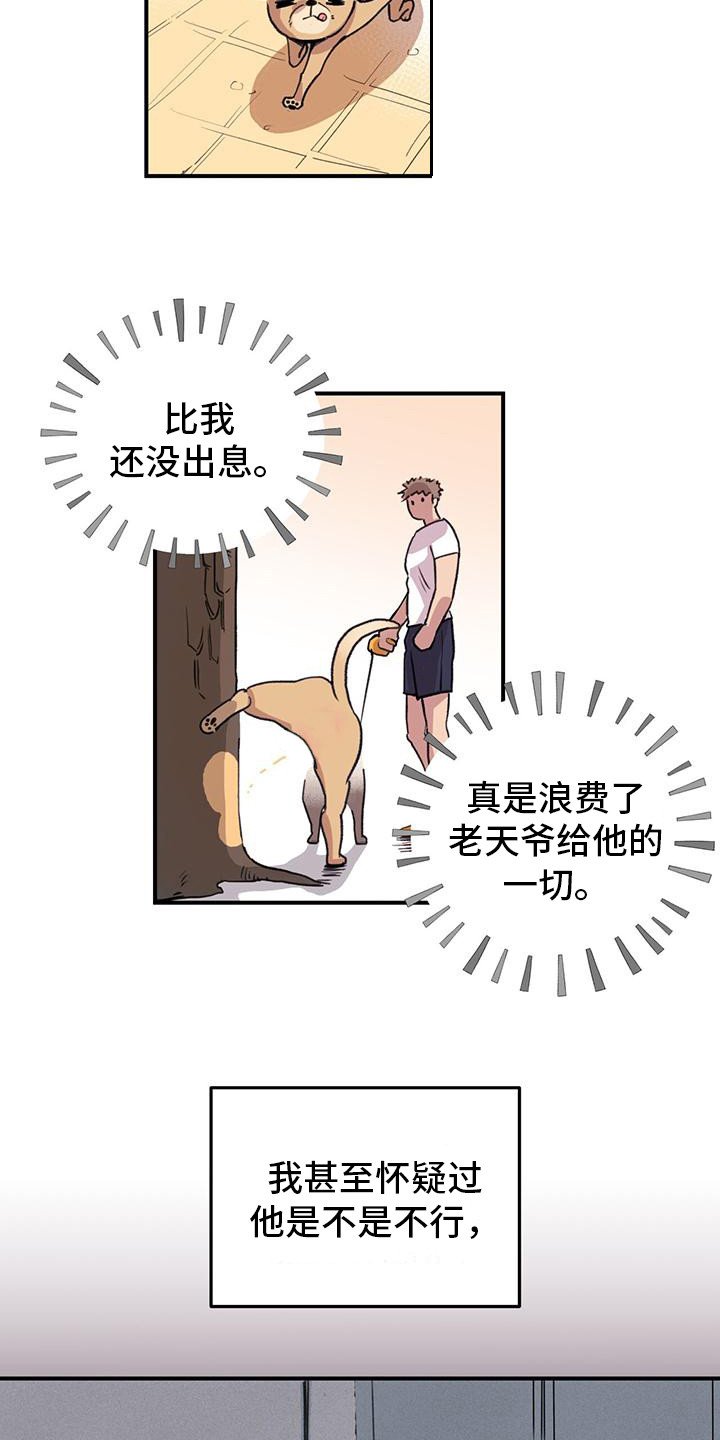 第1章：铲屎官