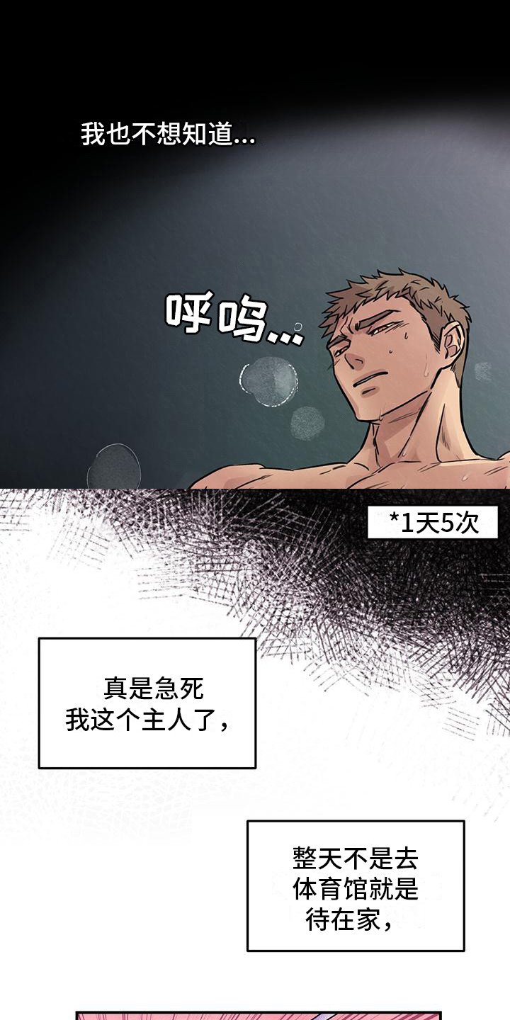 第1章：铲屎官