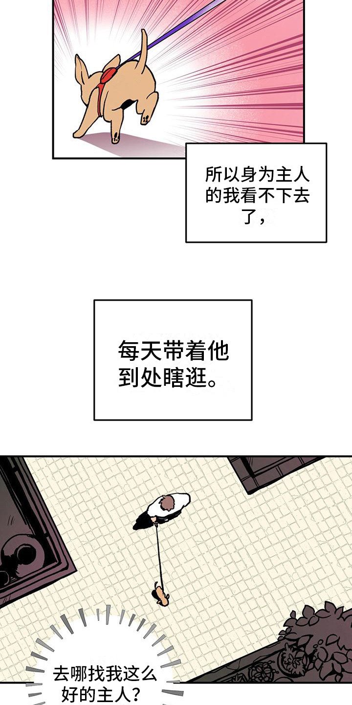 第1章：铲屎官