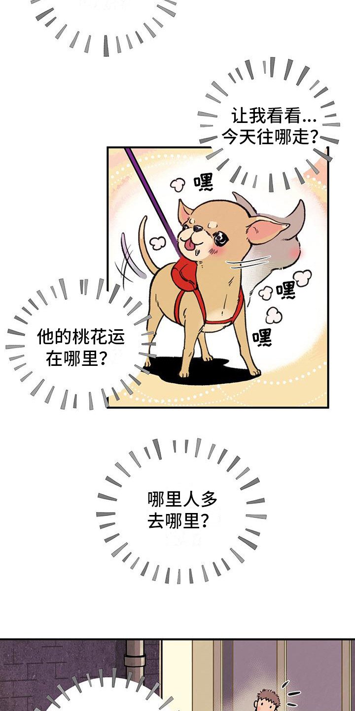 第1章：铲屎官