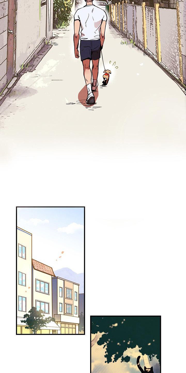 第1章：铲屎官