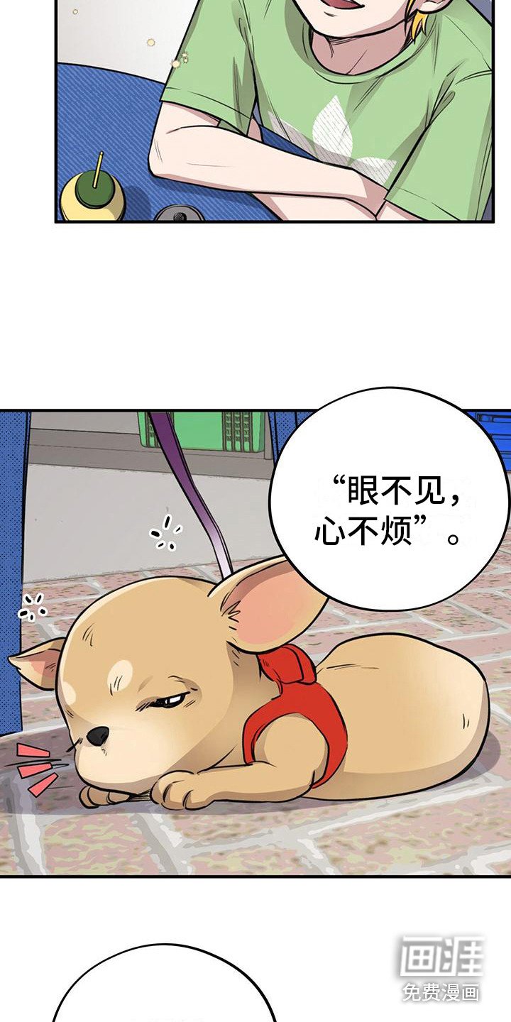 第11章：出主意