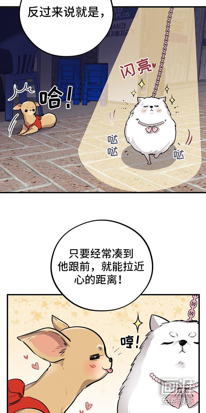 第11章：出主意