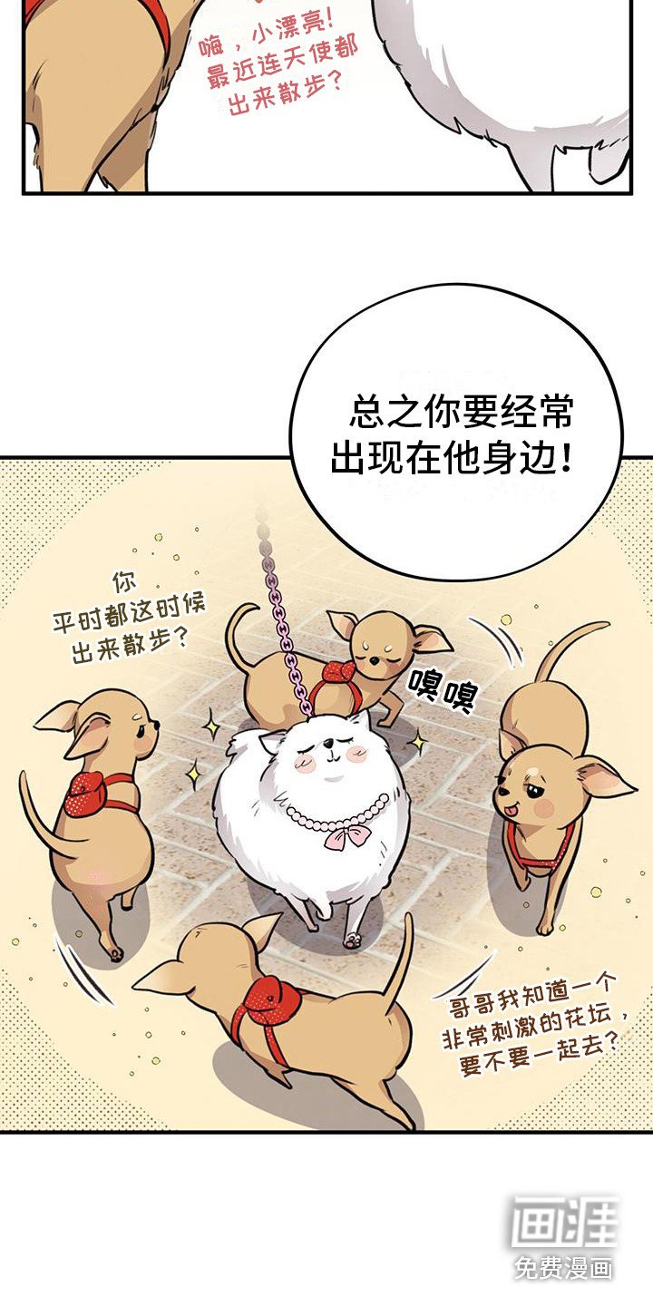 第11章：出主意