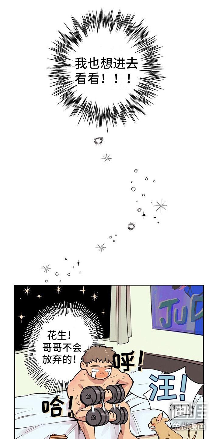 第12章：见不到面
