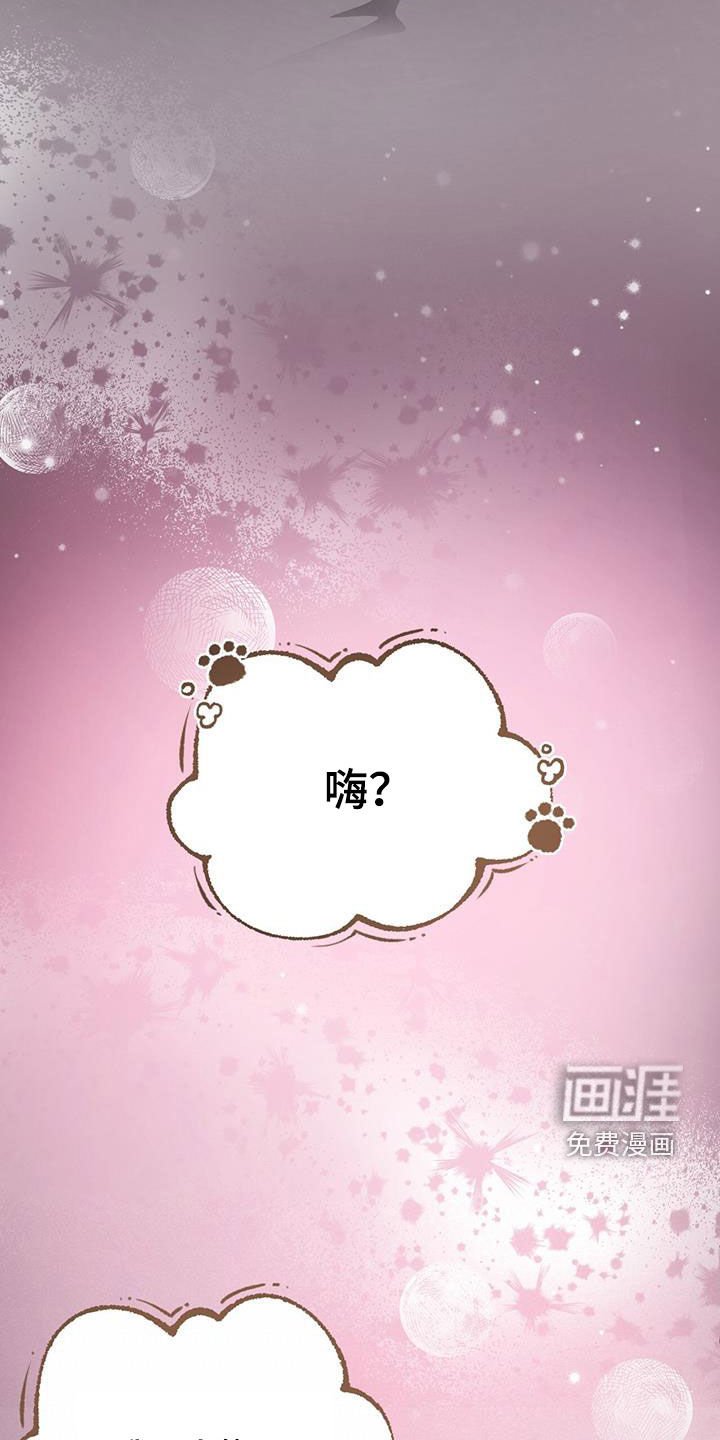 第44章：校庆