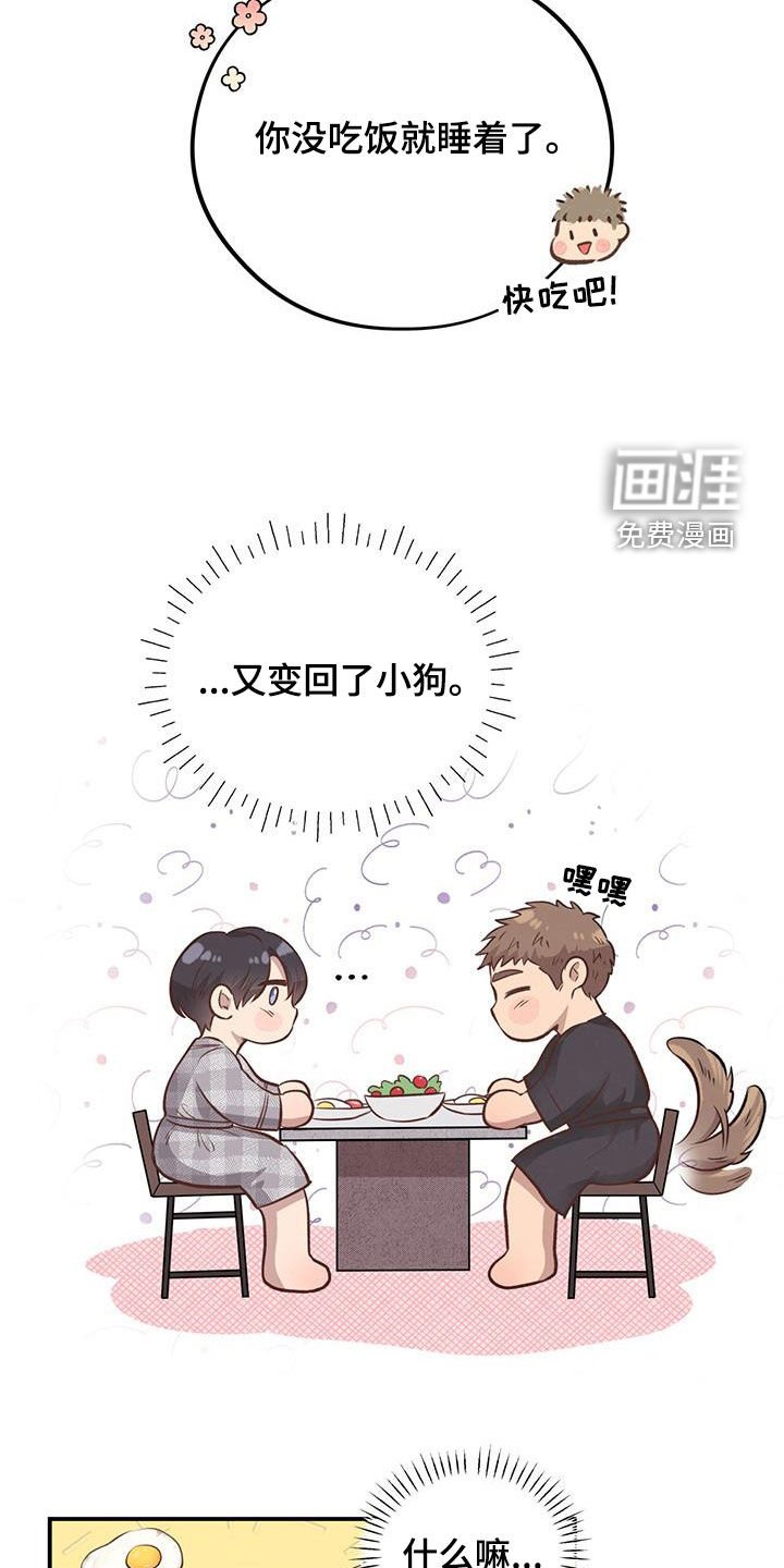 第44章：校庆