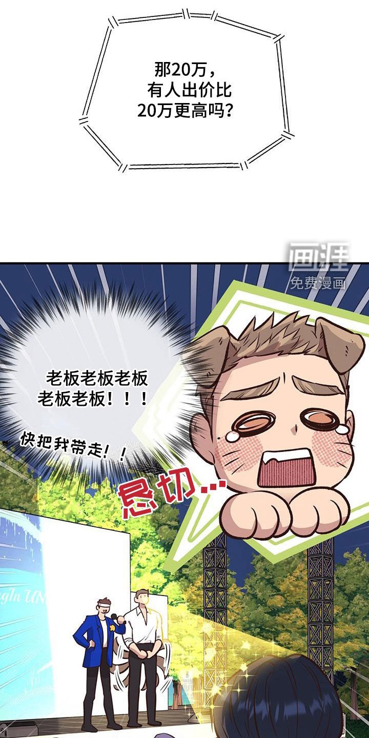 第50章：竞拍