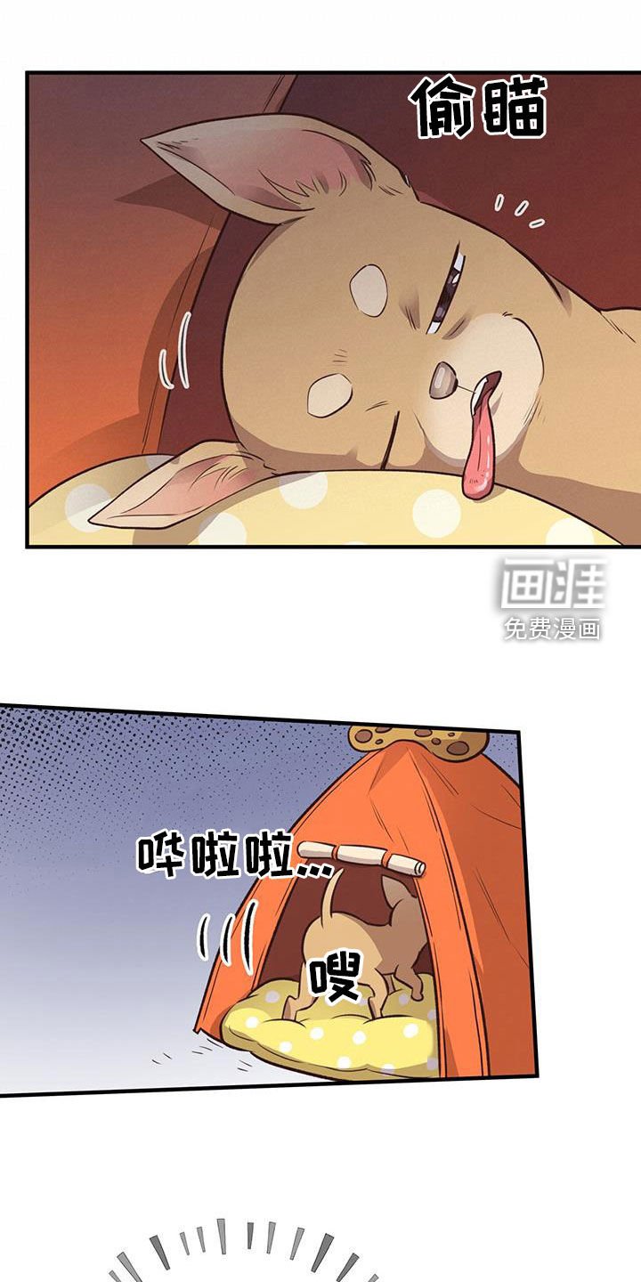 第57章：就现在