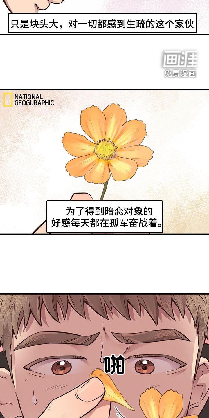 第61章：【第二季】生日