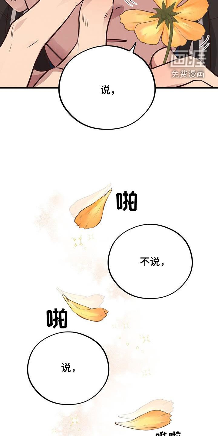 第61章：【第二季】生日