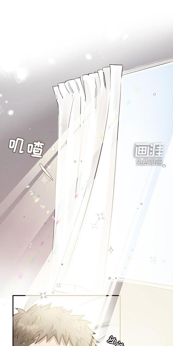 第64章：【第二季】特别的蛋糕