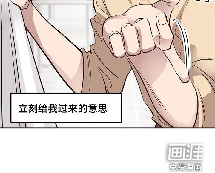 第64章：【第二季】特别的蛋糕